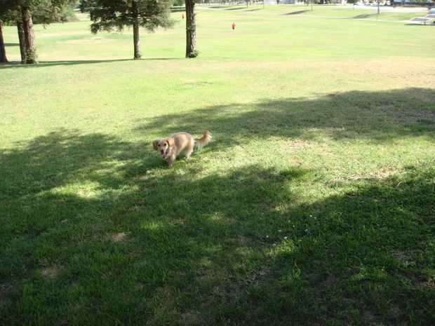 Wheee!