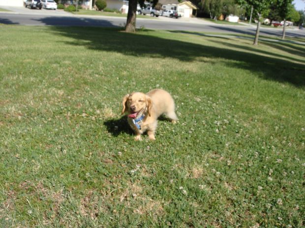 Wheee!