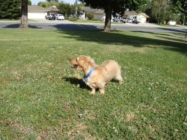 Wheee!